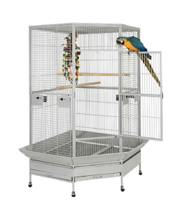 Parrot supplies hot sale near me